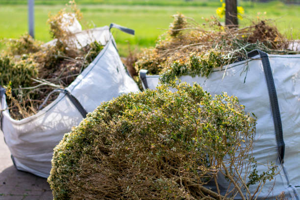 Best Yard Cleanup Services  in Meade, KS
